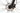 Cannondale Trail 8 2024 - microShift Mezzo - WTB SX19