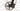 Scott Spark RC Team Issue 2024 - SRAM XX SL AXS 1x12sp - SScar Supra XC-29