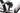 Conway Xyron S 5.9 2024 - Shimano XT - Mavic E-Deemax 30