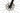 Specialized S-Works Turbo Creo SL EVO 2021 - Sram XX1 Eagle AXS 1x12sp - Roval Terra CLX