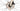 BMC Roadmachine Three 2024 - Shimano Ultegra Di2 2x12sp - DT Swiss XRD522