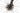 Factor Ostro VAM 2023 - SRAM Red AXS 2x12sp - Carbon