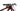 Specialized S-Works Epic World Cup 2025 - SRAM XX SL AXS 1x12sp - Roval Control SL
