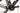 Cannondale Topstone 2024 - SRAM Rival AXS 2x12sp - DT Swiss G540