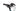 Conway Cairon C 2.0 2022 - Shimano Deore - Conway