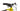 Cube Analog CMPT 2023 - SRAM SX - Cube