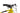 Cube Analog CMPT 2023 - SRAM SX - Cube