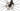Colnago V4Rs 2024 - Shimano Dura-Ace Di2 2x12sp - Enve WS SES 4.5 C