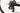 BMC Teammachine SLR TWO 2024 - SRAM Force AXS - DT Swiss P1800 Spline