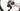 Cube Agree ON1 C:62 2025 - Shimano 105 Di2 2x12sp - FFWD TYRO Carbon