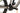 Canyon Strive CF 2021 - Shimano XT - Aluminium