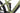 Cube Stereo Hybrid One 2024 - Shimano Cues - Cube