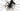 Stevens Izoard Pro AXS 12V 2024 - SRAM Force AXS - DT Swiss P1800