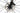Stevens Izoard Pro AXS 12V 2024 - SRAM Force AXS - DT Swiss P1800