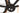 Scott Addict RC 20 2024 - Shimano Ultegra Di2 2x12sp - Syncros Capital 1.0 40