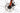 Ridley Kalazy Claris MDB 2025 - Shimano Claris - Mach1
