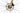 Cannondale Topstone Carbon 3 2023 - Shimano GRX - WTB ST i23 TCS, 700c, 28h, tubeless ready