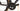 Pinarello Dogma F12 Disc 2019 - Shimano Dura-Ace Di2 2x12sp - Zipp 353