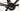 Lapierre Xelius SL 5.0 2024 - Shimano 105 Di2 2x12sp - DT Swiss E1800