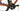 Focus Atlas 6.7 2023 - Shimano GRX - Novatec Twenty Five