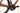 Focus Atlas 6.7 2023 - Shimano GRX - Novatec Twenty Five
