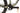 Orbea Oiz M30 2022 - Shimano XT - DT Swiss X1900