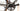 Focus Cayo 2011 - Shimano Ultegra - Progress