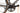 Focus Cayo 2011 - Shimano Ultegra - Progress