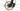 Specialized Epic Hardtail 2020 - SRAM NX - Aluminium