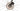 Parkpre K1 2024 - Shimano Ultegra - Aluminium