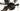 Massi Crossbow 2 2013 - SRAM Force AXS 2x12sp - Zipp