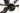 Massi Crossbow 2 2013 - SRAM Force AXS 2x12sp - Zipp