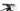 Orbea OIZ H30 2022 - Shimano Deore - Orbea OC1 25c