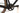Cube Nuroad C:62 SL 2023 - SRAM XX1 AXS 1x12sp - Newmen Advanced