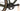 Ridley Kanzo Adventure Carbon 2024 - Shimano GRX - DT Swiss G1800