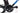Berria Belador 2024 - SRAM Force AXS 2x12sp - Campagnolo Scirocco