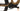 Merida eOne-Sixty SL 6000 2025 - Shimano Deore - Merida EXP
