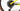 Cannondale Scalpel Carbon 2 X01 2021 - SRAM X01 - HollowGram