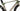 Cannondale SystemSix Carbon 2019 - Shimano Ultegra Di2 2x11sp - HollowGram Knot SL