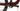 Focus VAM 2 SL 8.7 2024 - Shimano Deore - RaceFace AR 27