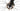 Ridley X-Night RS 2025 - Shimano Dura-Ace Di2 2x12sp - DT Swiss Carbon