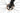 Ridley X-Night RS 2025 - Shimano Dura-Ace Di2 2x12sp - DT Swiss Carbon