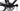 Specialized Roubaix 2018 - Shimano Ultegra - Mavic Aksium