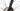 Cannondale Tesoro Neo SL EQ 2022 - MicroShift Advent X - Aluminium