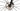 Orbea Terra M30 Team 2021 - Shimano GRX - Mavic Allroad Pro Aluminium