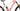 Orbea Wild M-LTD 2025 - SRAM XX AXS - Oquo MC32 Team