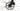 BMC Roadmachine FIVE 2024 - Shimano 105 Di2 2x12sp - Mavic Open Disc