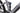 Cube Stereo Hybrid Race XT 2023 - Shimano XT - Aluminium