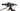 Scott Spark RC 900 Pro 2018 - Shimano XT - DT Swiss XR391