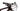 Specialized Epic Expert 2021 - SRAM X01 - Roval Control